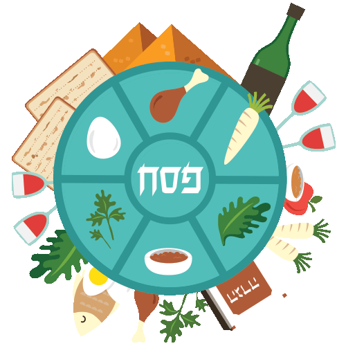 Passover Seder Experience: MDN 2024